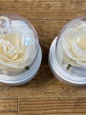 White Preserved Rose Dome Decorative Accent